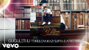 Prince Kaybee - Gugulethu ft. Indlovukazi, Supta, Afro Brothers